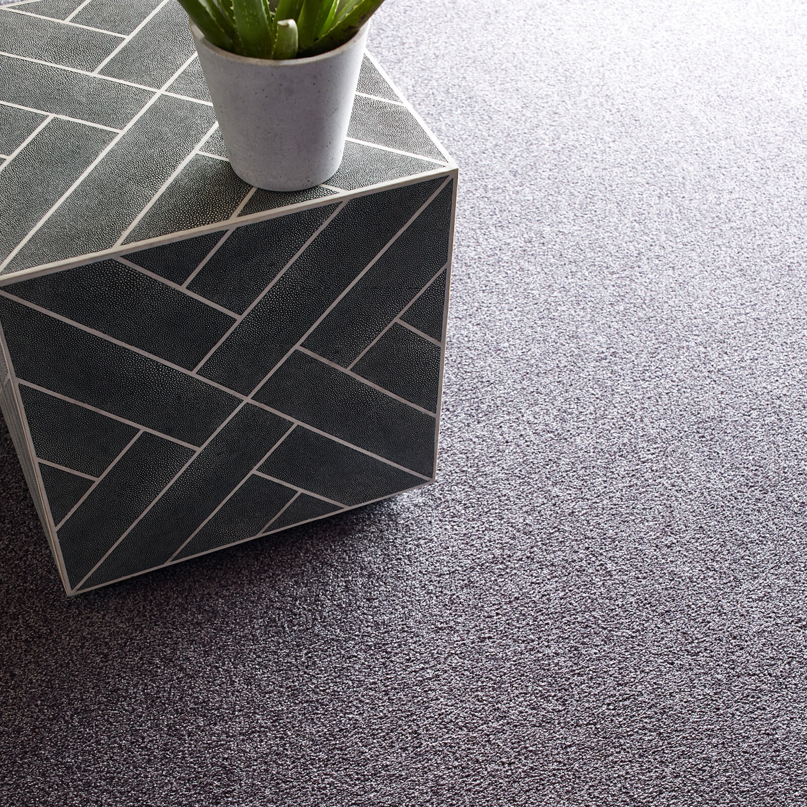 Carpet flooring | Flooring by Wilson's Carpet Plus