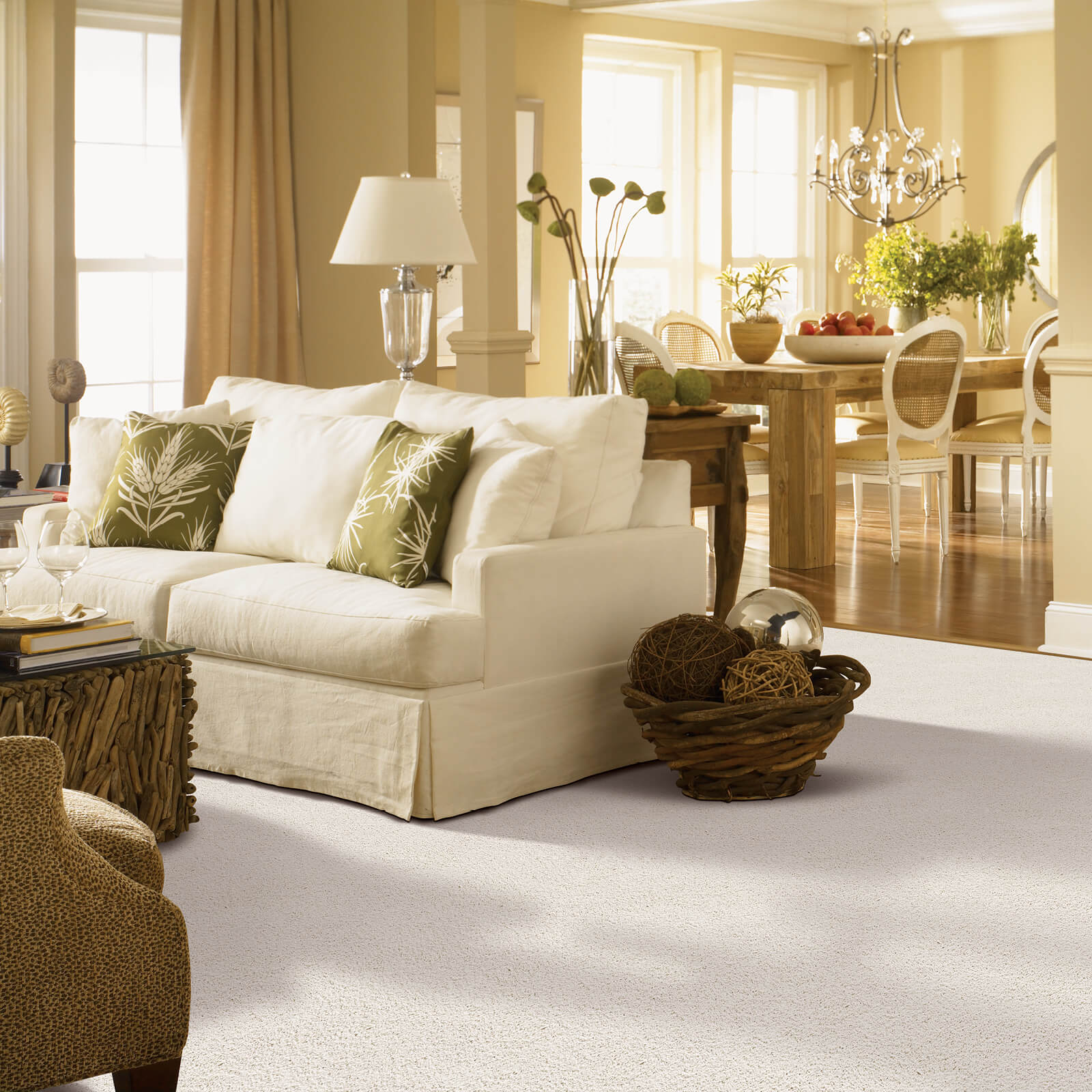 Gentle Approach of carpet | Flooring by Wilson's Carpet Plus