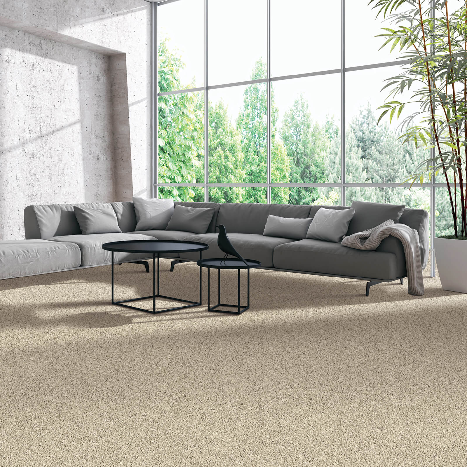 Grey Carpet flooring | Flooring by Wilson's Carpet Plus
