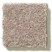 Carpet swatch | Flooring by Wilson's Carpet Plus