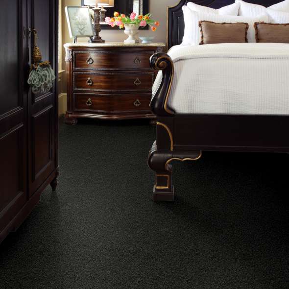 Find Your Best Carpet Color | Flooring by Wilson's Carpet Plus