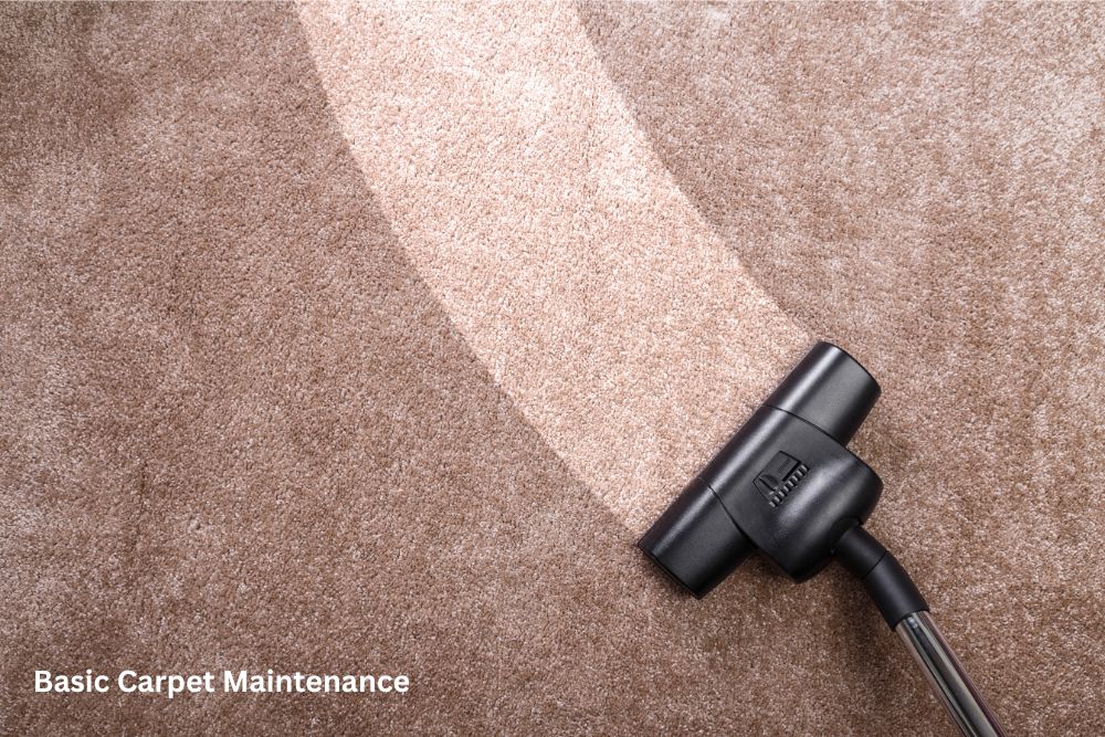 carpet floor cleaning | Flooring by Wilson's Carpet Plus