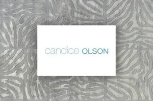 Candice olson